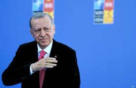 اردوغان يقاضي نائبا ألمانيا بسبب “جرذ المجاري”