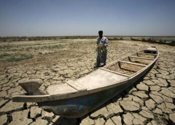 اختفاء معالم أهوار الجبايش وارتفاع في بطالة سكانها