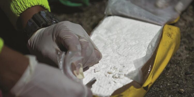 صدفة تقود شابا لــ”كوكايين بـ 90 مليون جنيه إسترليني”