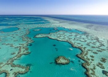 توصية بإدراج الحاجز المرجاني العظيم تراثًا عالميًا معرضًا للخطر