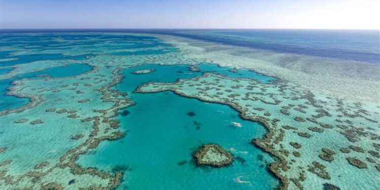 توصية بإدراج الحاجز المرجاني العظيم تراثًا عالميًا معرضًا للخطر