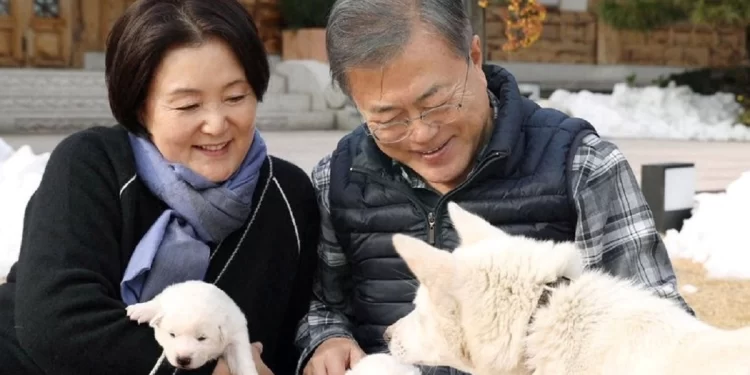 كلبان يثيران أزمة بين الرئيس الكوري الجنوبي الحالي وسلفه