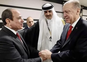 تركيا .. تطبيع العلاقات مع مصر مستمر في إطار المصالح والاحترام المتبادل