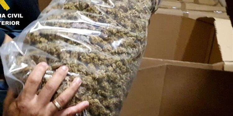 ضبط أكبر كمية ماريجوانا على مستوى العالم بقيمة 64 مليون $ في إسبانيا