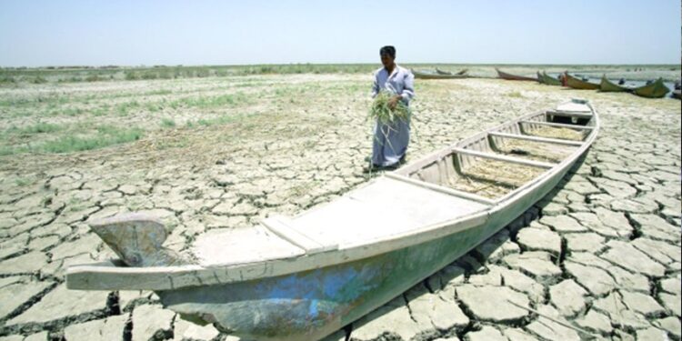 الاعلان عن قرب انجاز مشروع توسيع وتعميق مغذيات الأهوار