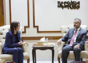 وزير التخطيط يستقبل السفيرة السويدية
