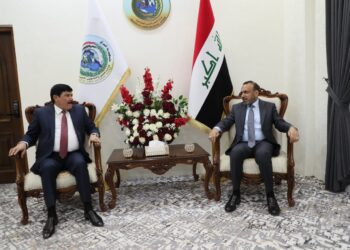 وزير العمل .. العمالة الأجنبية ستحصل على رواتب تقاعدية وضمان صحي في العراق