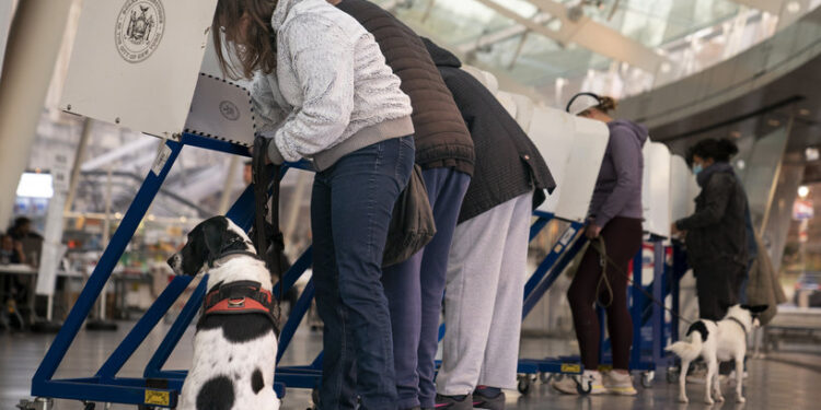 من العبودية إلى القمار والماريجوانا… قضايا يحسمها “الناخبون الأميركيون”