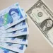العملة الإيرانية تهوي لأدنى مستوى مقابل الدولار