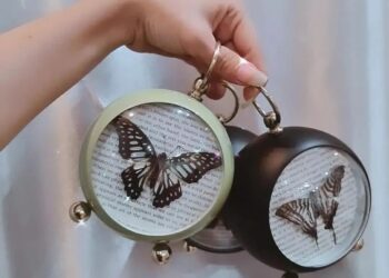 شابة تدير متجرا لـ(تخليـد الجمال) في أربيل .. “الموت ليس نهاية المطاف للفراشات”