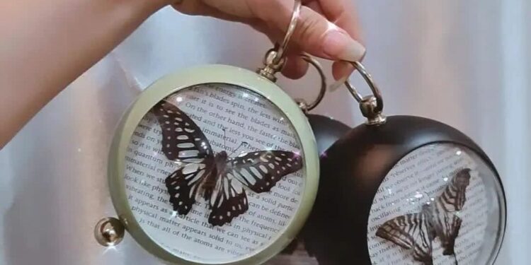 شابة تدير متجرا لـ(تخليـد الجمال) في أربيل .. “الموت ليس نهاية المطاف للفراشات”