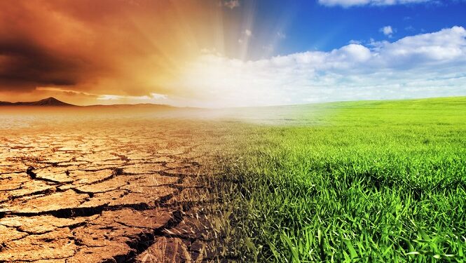 اتجاه نحــــو الاستثمار في التقنيات المناخية