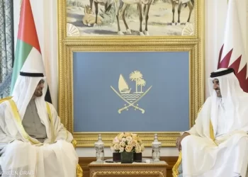 رئيس الإمارات وأمير قطر يبحثان العلاقات بين البلدين