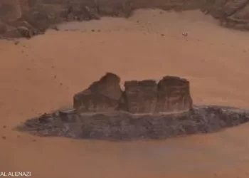 “الصخرة السمكة” تثير الدهشة في صحراء السعودية