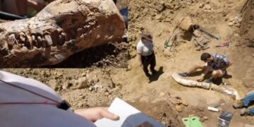 اكتشاف كائن بحري عملاق بأستراليا ,,, عمره 100 مليون عام