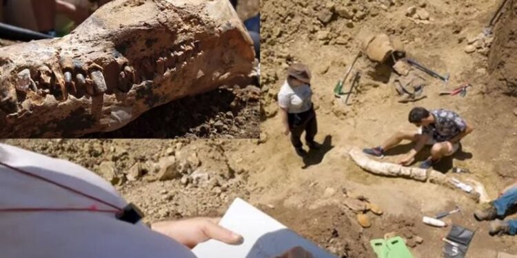 اكتشاف كائن بحري عملاق بأستراليا ,,, عمره 100 مليون عام