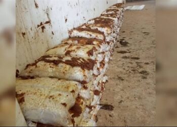 إحباط أكبر عملية تهريب (كبتاغون) في الاردن قادم من العراق