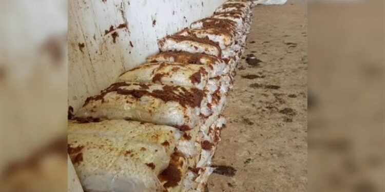 إحباط أكبر عملية تهريب (كبتاغون) في الاردن قادم من العراق