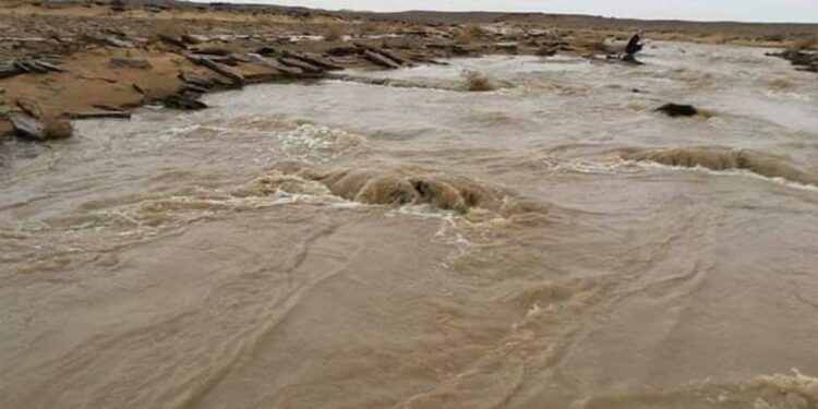 توقعات بــورود “سيول مائية” من إيران وانعاش الاهوار في الأمطار الهاطلة