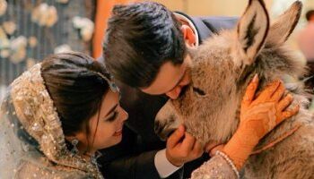 باكستاني يقدم هدية زواج  لزوجته ليلة زفافهما غير متوقعة !