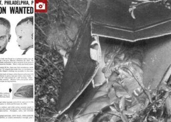 فك لغز هوية جثة طفل العلبة عثر عليها قبل 65 عاما