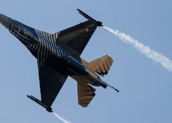 سرب طيور يحطم مقاتلة تركية طراز (إف-5)