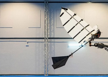 تطوير روبوتا يمكنه الهبوط على فروع الأشجار كالطيور