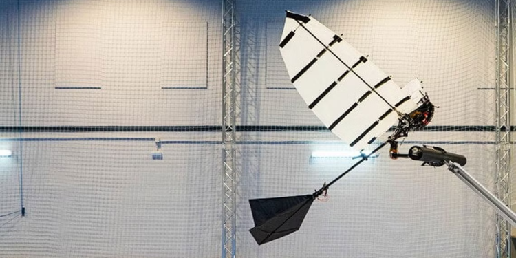 تطوير روبوتا يمكنه الهبوط على فروع الأشجار كالطيور