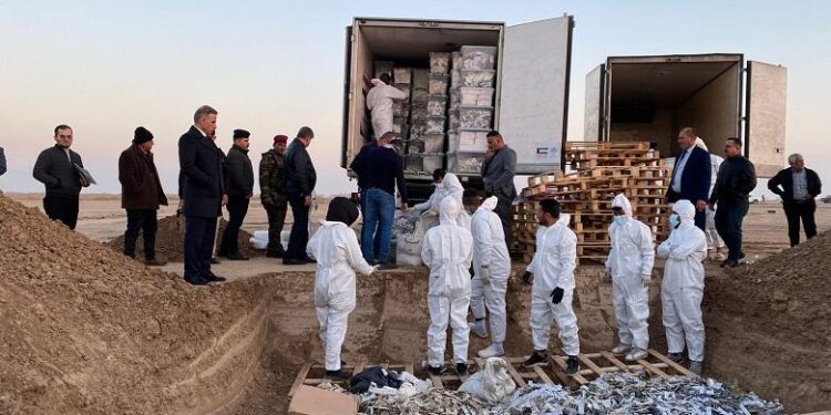 عملية إتلاف (أكبر كمية مخدرات) مضبوطة لدى معهد الطب العدلي