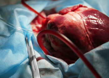 اكتشافات علمية في 2022 غيرت شكل العالم  من بينها (إمكانية إعادة إحياء أعضاء الشخص الميت)