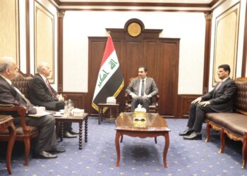 المندلاوي .. ندعو لتنسيق المواقف في المحافل الإقليمية والدولية .. موقفنا من فلسطين ثابت