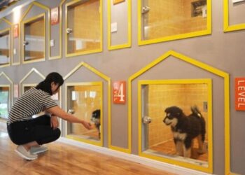 فندق الحيوانات الأليفة ,, سعر الليلة الواحدة 1000 يوان صيني