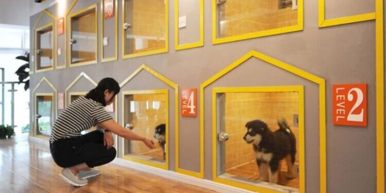 فندق الحيوانات الأليفة ,, سعر الليلة الواحدة 1000 يوان صيني