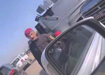بالفيديو والصور .. المهرة أم فهد يرافقها رتل سيارات إلى داخل جذع النخلة