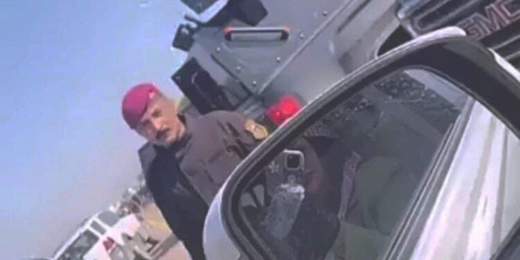 بالفيديو والصور .. المهرة أم فهد يرافقها رتل سيارات إلى داخل جذع النخلة