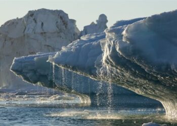 جرينلاند تسجل أعلى درجة حرارة منذ ألف عام