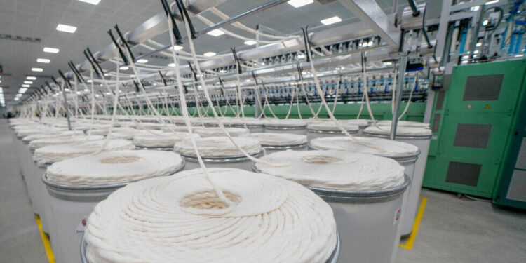 مصر تستعد لافتتاح أكبر مصنع من نوعه في العالم