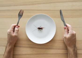 دول الاتحاد الأوروبي تسمح بتناول صراصير المنزل ويرقات الديدان