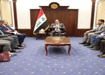 المندلاوي يدعو الى زيادة التعاون مع المنظمات الدولية