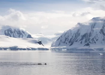 فيديو يرصد انفصال جبل جليدي بحجم لندن