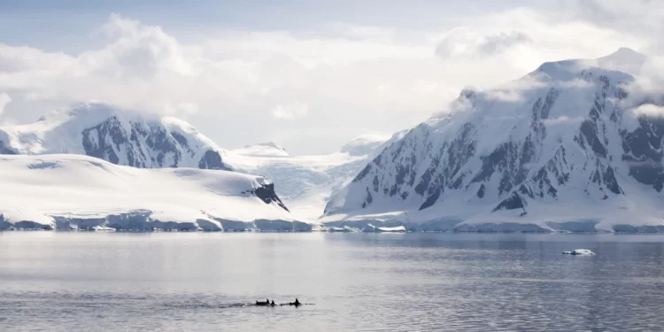 فيديو يرصد انفصال جبل جليدي بحجم لندن
