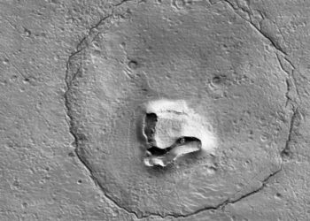 العثور على وجه الباندا فوق سطح المريخ