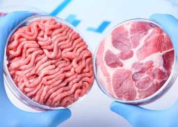 اللحوم المزروعة.. مفيدة للصحة والبيئة وتقلل من الاحتباس الحراري