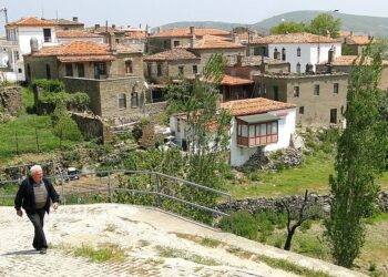 (تونسلار) قرية تونسية في تركيا ,, أسسها جنود تونسيون قبل 200 عام ولا يزالون يرفعون علمهم