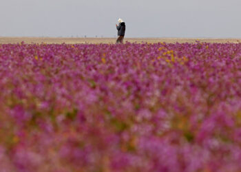 مشهد “غير مألوف” في السعودية