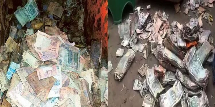 النمل الأبيض يأكل أموال مودعين في بنك هندي