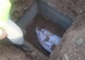 سيدة أردنية تحتال على (ثلاث شركات تأمين) وتحصل على 2 مليون $