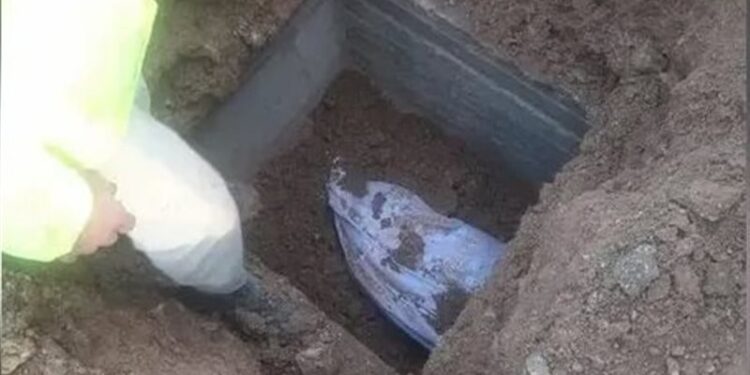 سيدة أردنية تحتال على (ثلاث شركات تأمين) وتحصل على 2 مليون $