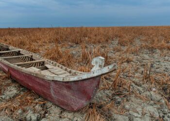 الأهــــوار… تراث عالمي جففــه (الإهمال الوطني)