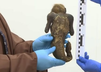 الكشف عن سر مومياء “حورية البحر” في اليابان .. (لغز عمره 300 عام)